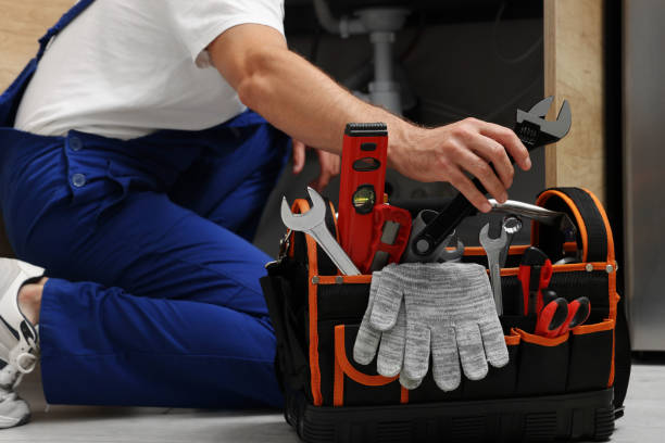 Best Local Plumber Services  in Ceresco, NE