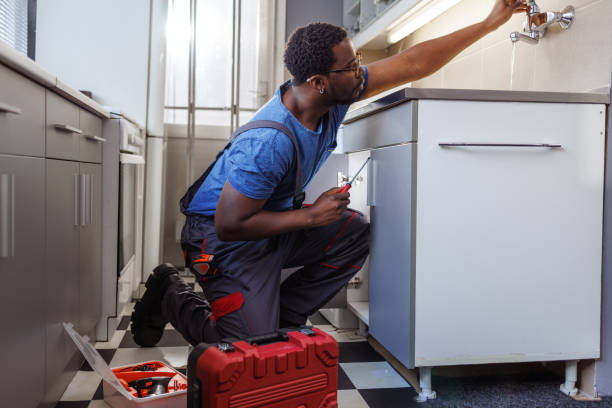 Best Leak Detection Services  in Ceresco, NE